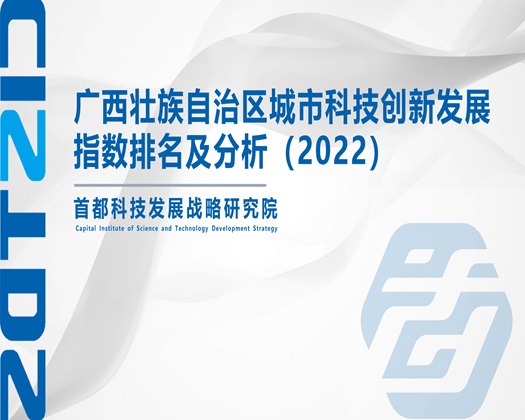 俺去操逼逼【成果发布】广西壮族自治区城市科技创新发展指数排名及分析（2022）